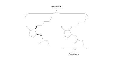 paradisone بارديزون