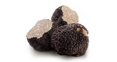 Truffle كمأة