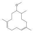 Lorenox لورينوكس