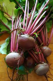 Beetroot شمندر