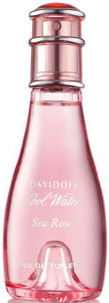 Cool Water Sea Rose
