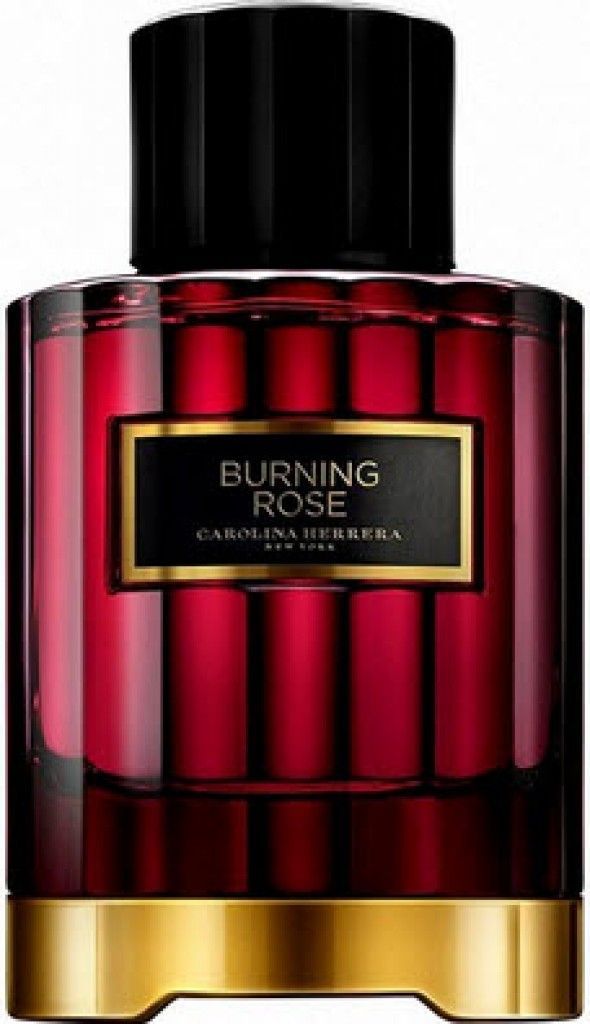 Burning Rose