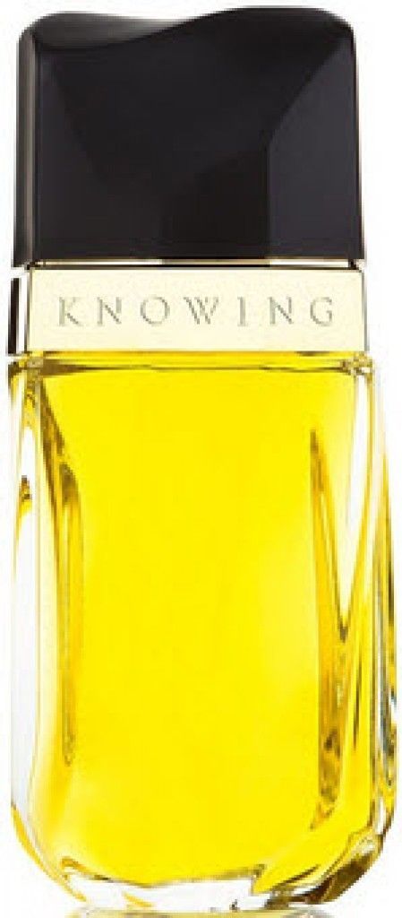 Knowing Estée Lauder