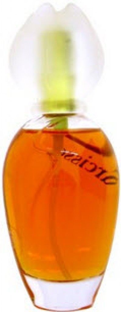 Fleur de Narcisse