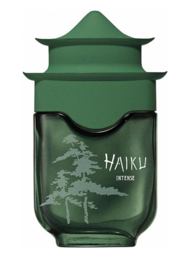 عطر هايكو انتنس