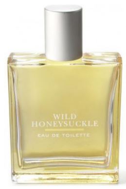 Wild Honeysuckle