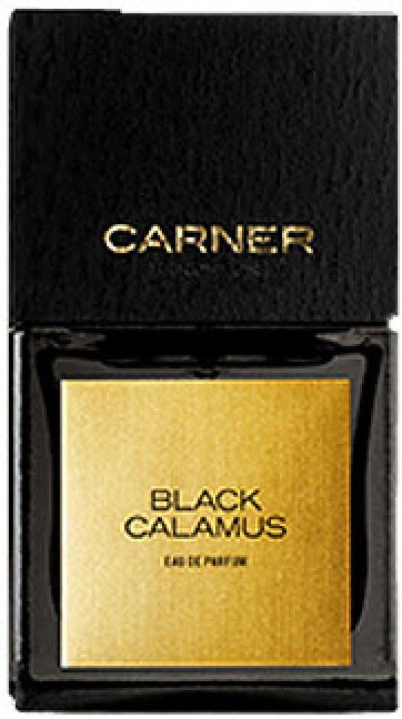 Black Calamus