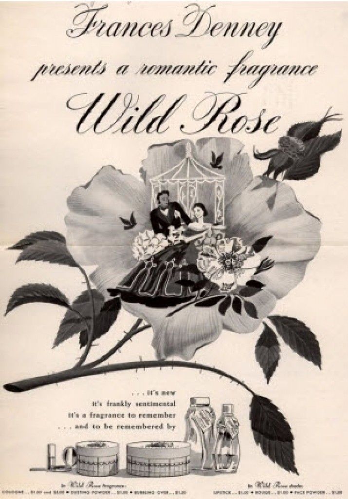 Wild Rose