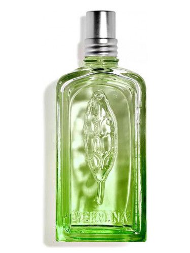 Verveine Cactus