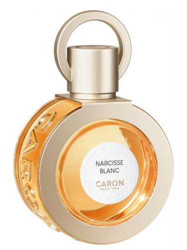Narcisse Blanc 2021
