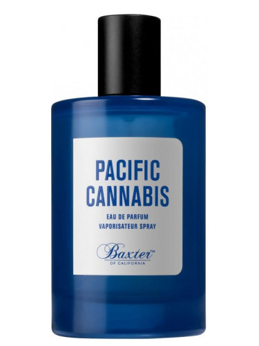 عطر باسيفك كانبيس