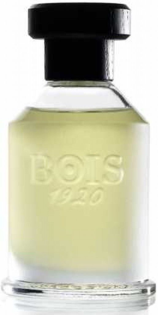 Rosa 23