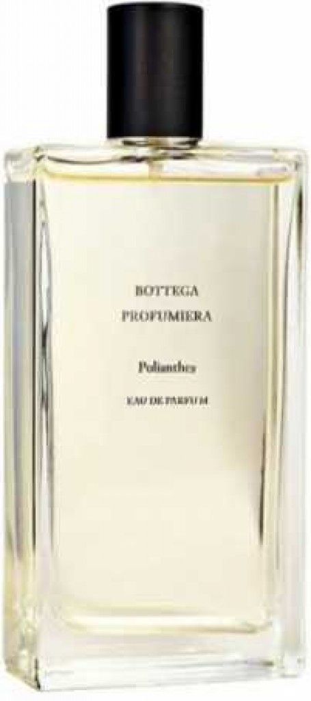 Polianthes