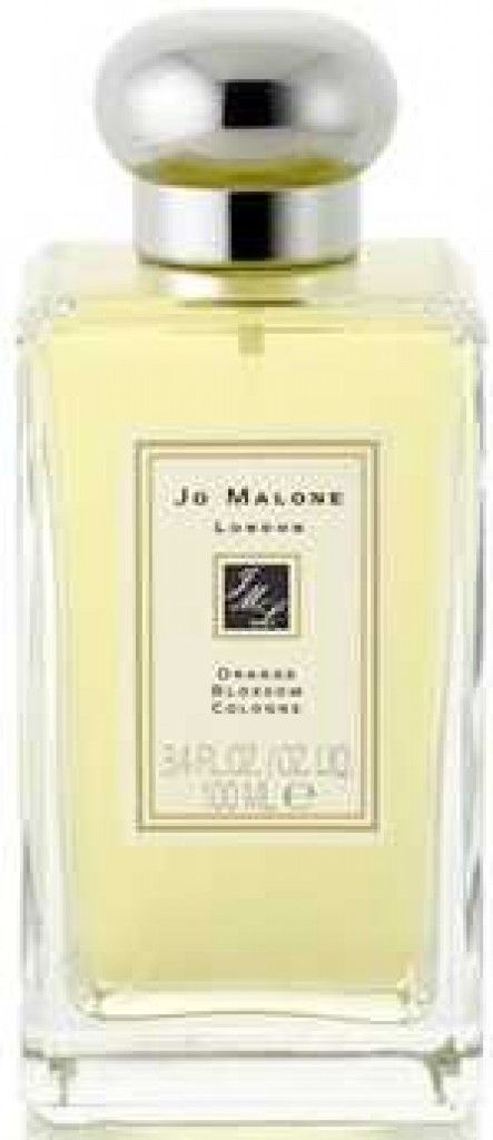 Orange Blossom