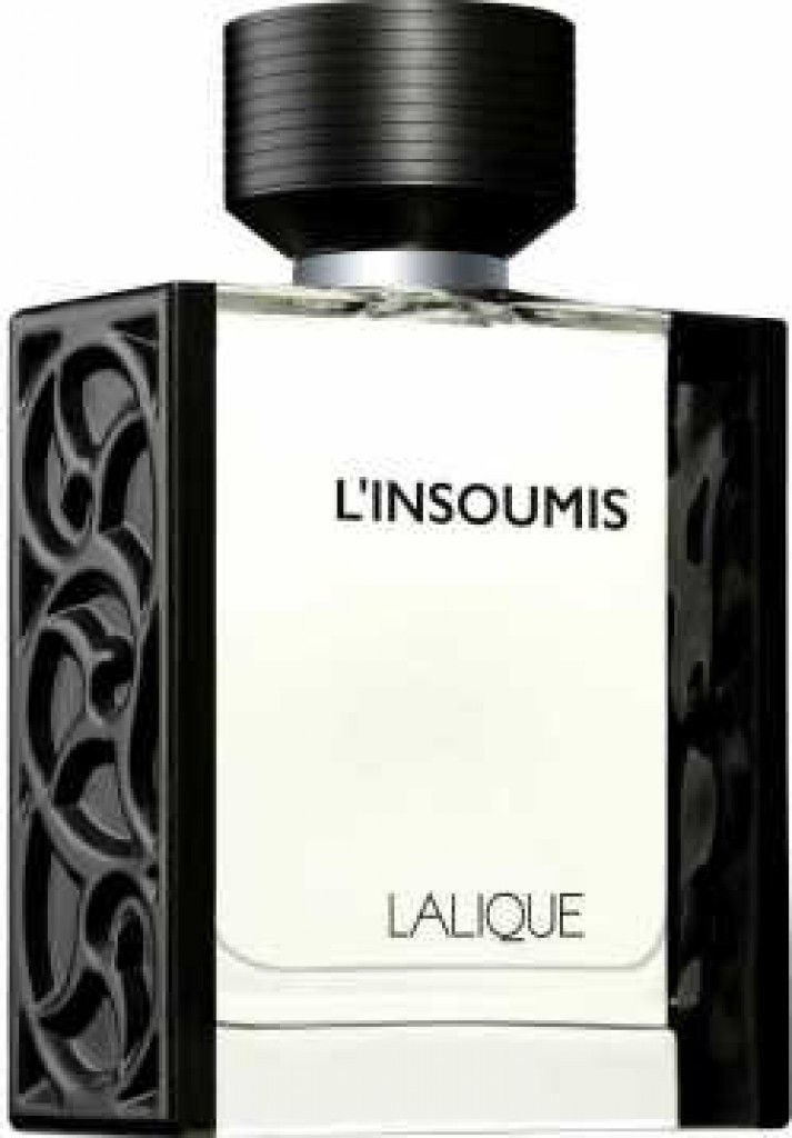 L'Insoumis