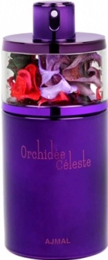 Orchidee Celeste