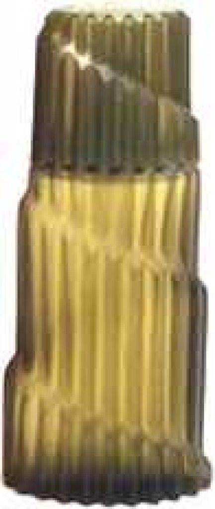 Parfum d'Homme