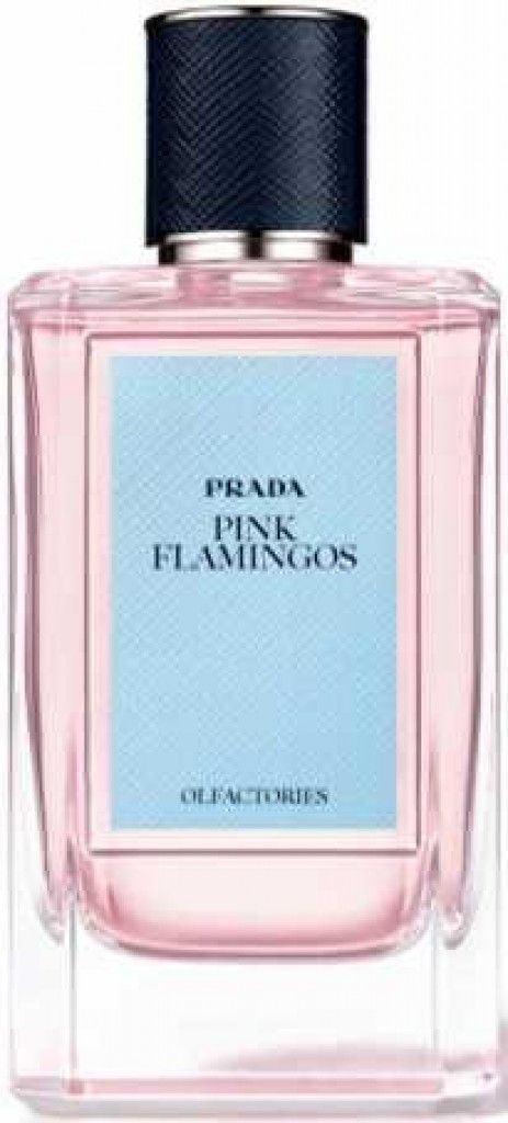 Pink Flamingos