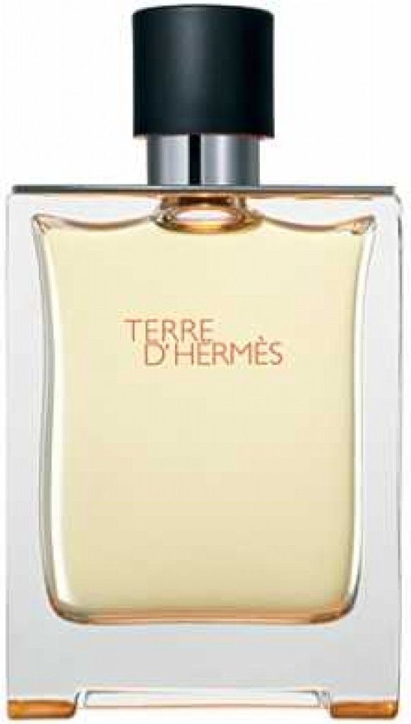 Terre d'