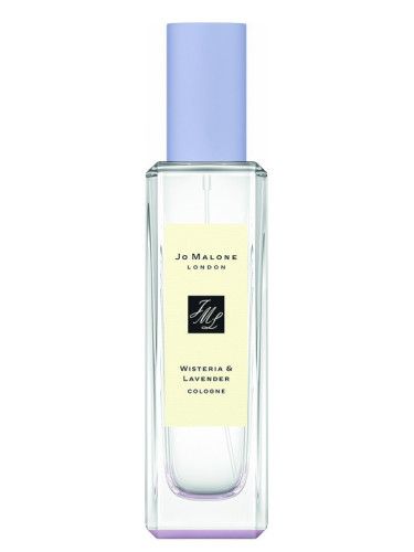عطر جو مالون لندن وستارية أند لافندر كولون
