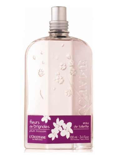 Fleurs de Brignoles (Plum Blossom)