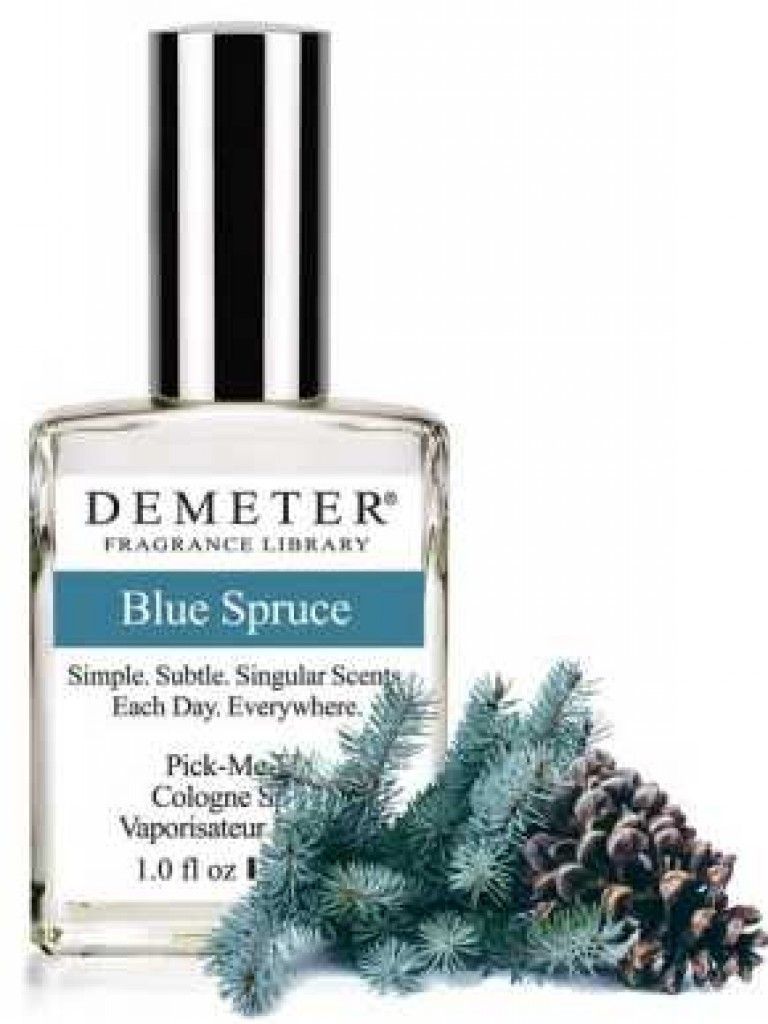 Blue Spruce