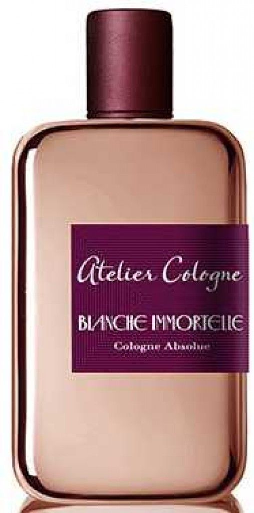 Blanche Immortelle