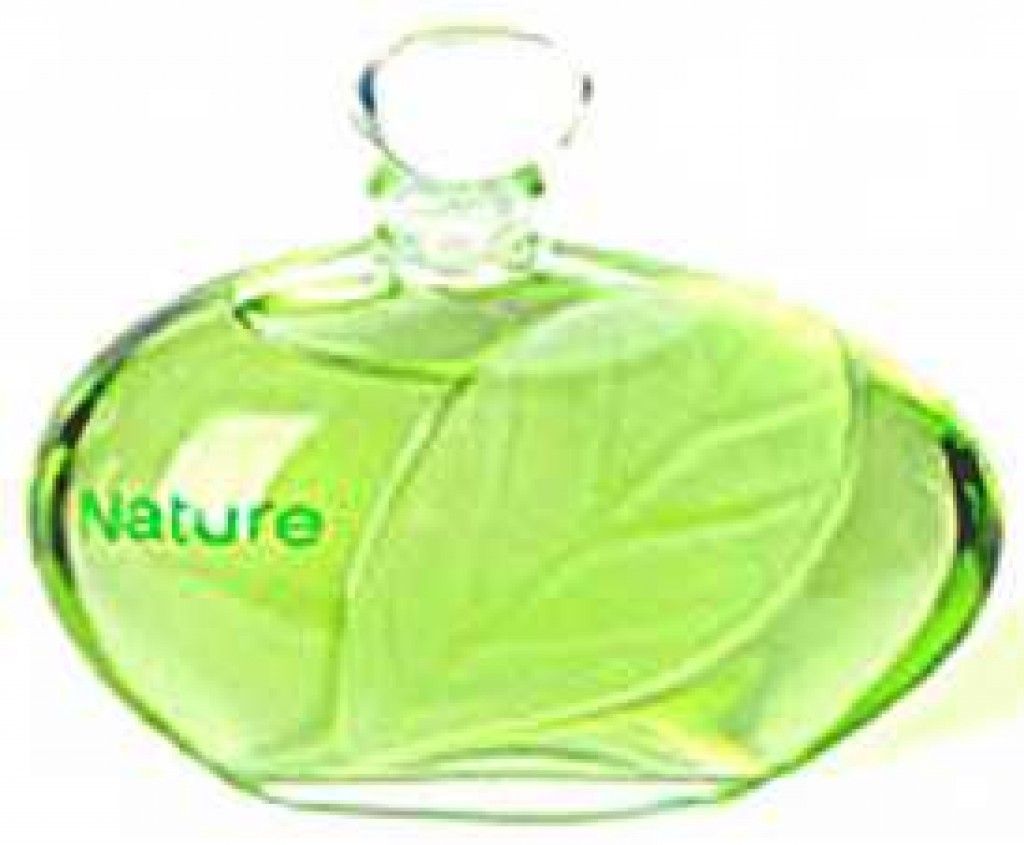 عطر إيف روشيه ناتشر 