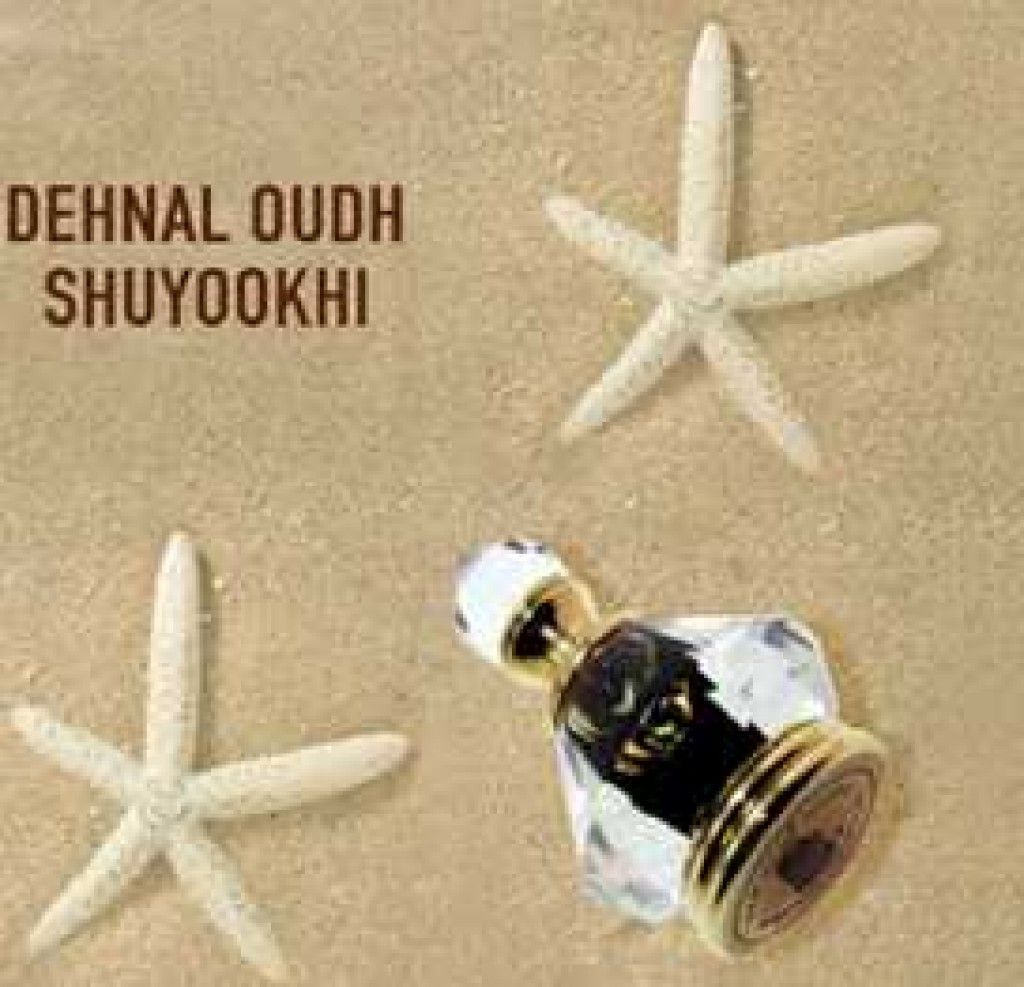 عطر الحرمين برفيومز  دهن العود شيوخي ستايل 