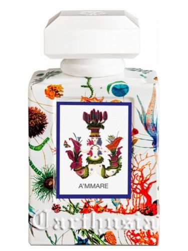 عطر كارثوسيا اماري