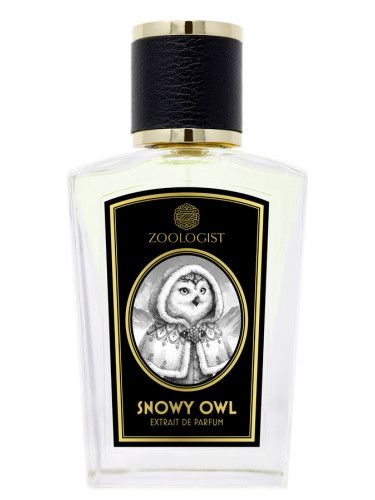 Snowy Owl 