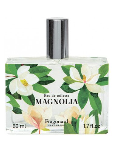 Magnolia Fragonard