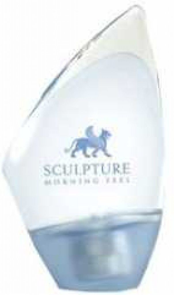 Sculpture Morning Feel