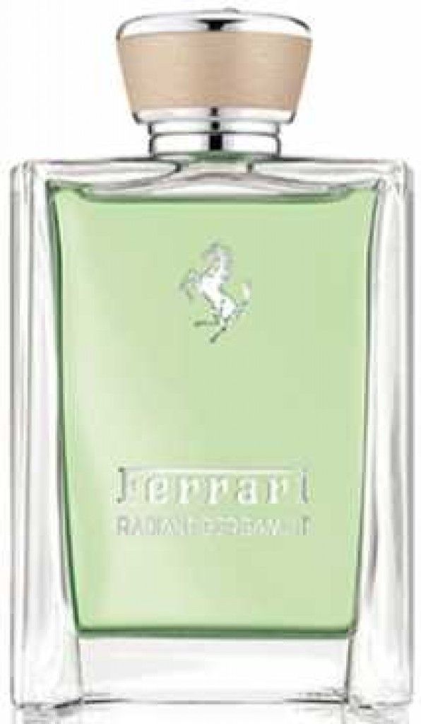 Radiant Bergamot