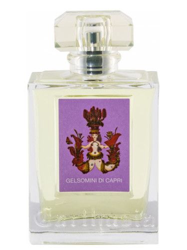 عطر كارتوزيا جيلسوميني دي كابري 2017