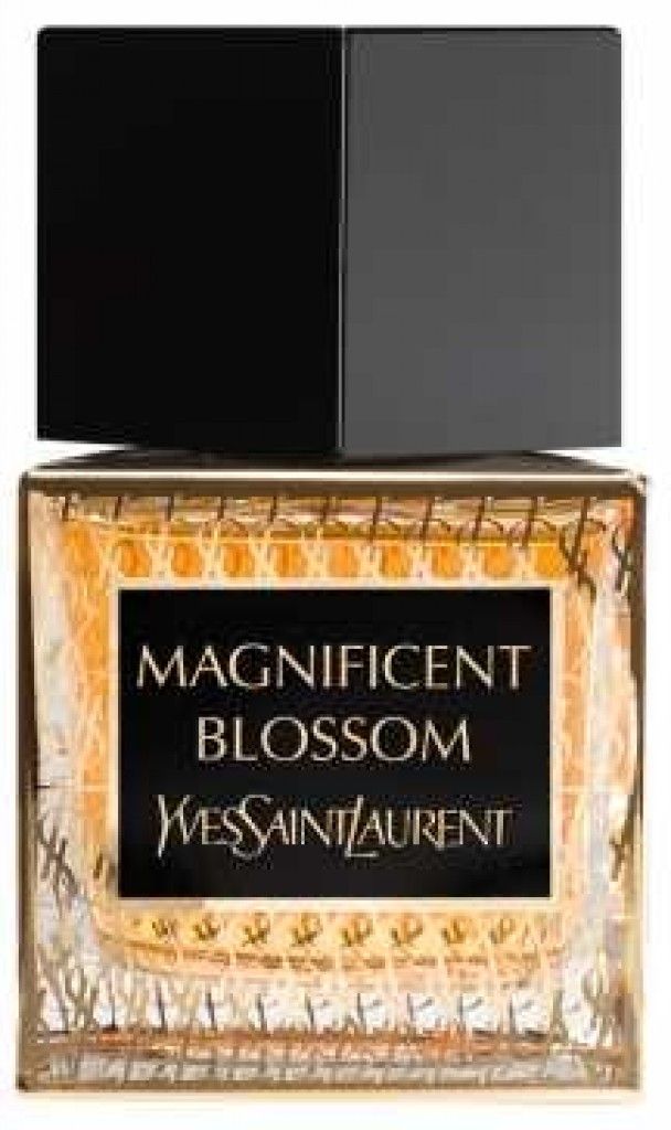 Magnificent Blossom