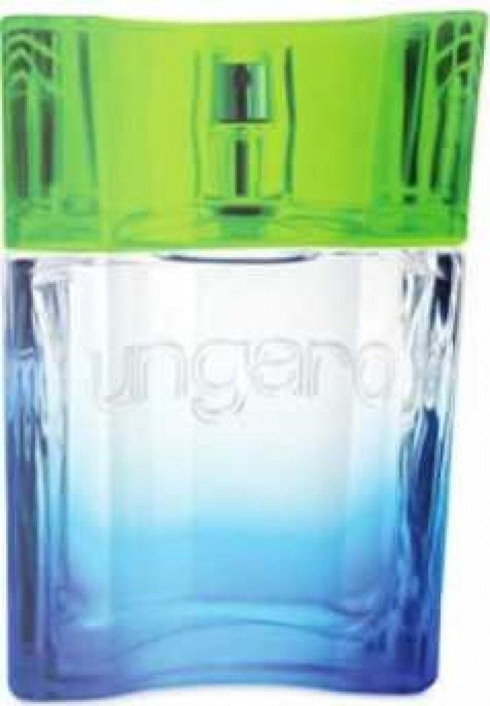 Ungaro Power