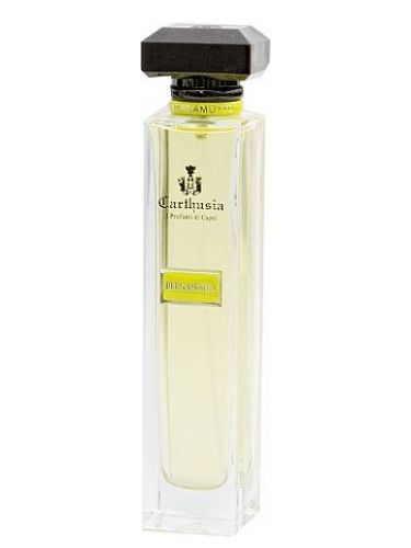 عطر كارتوزيا أكوا دي كارتوزيا برغموتو