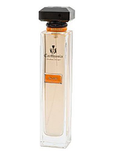 عطر كارتوزيا أكوا دي كارتوزيا زاجارا