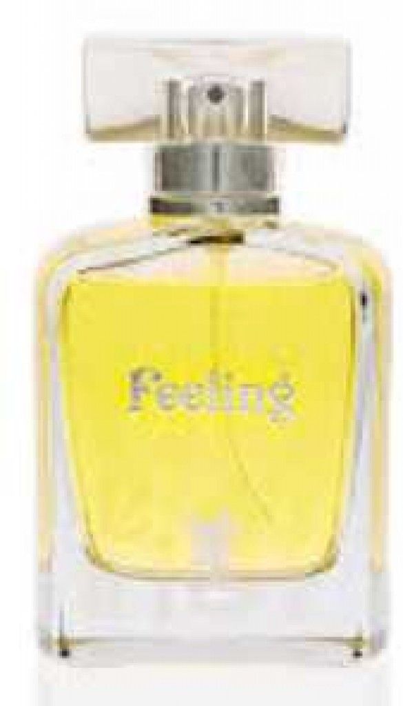 Feelings