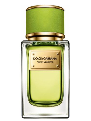 عطر دولتشي أند غابانا فلفيت موجيتو