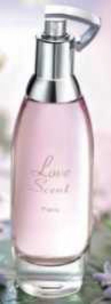 عطر إيف دي سيستل لوف سينت