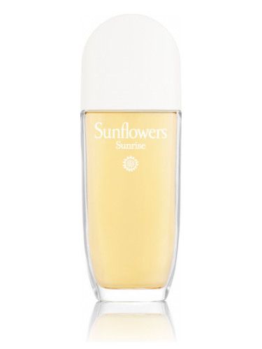 Sunflowers Sunrise 