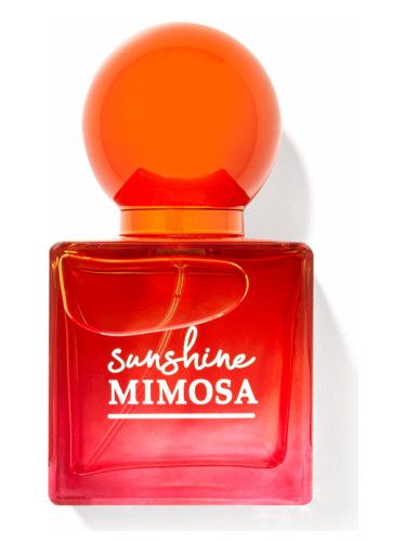 Sunshine Mimosa 