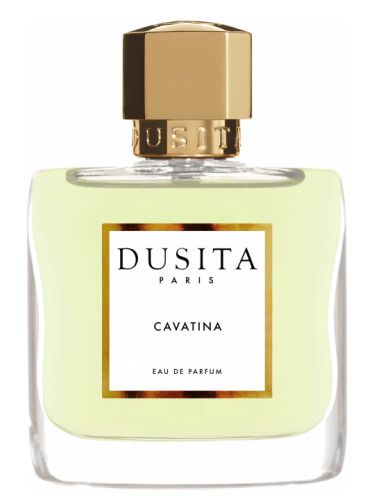 Cavatina 
