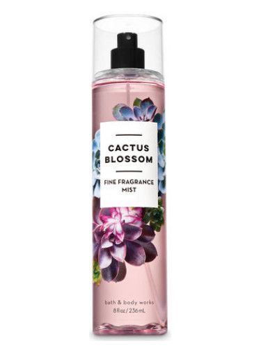 Cactus Blossom