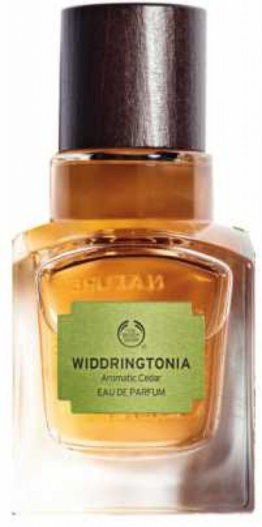 Widdringtonia