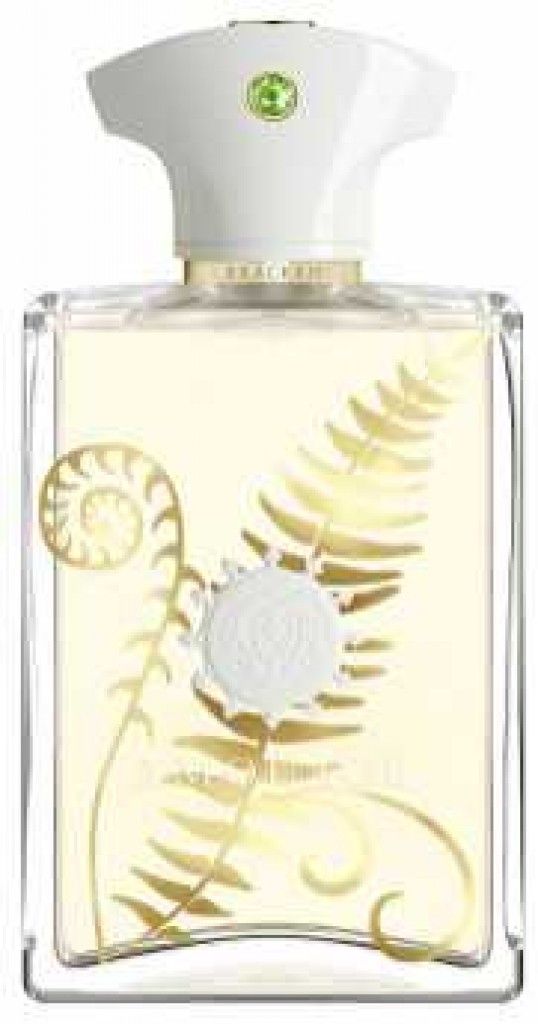 Bracken for Men