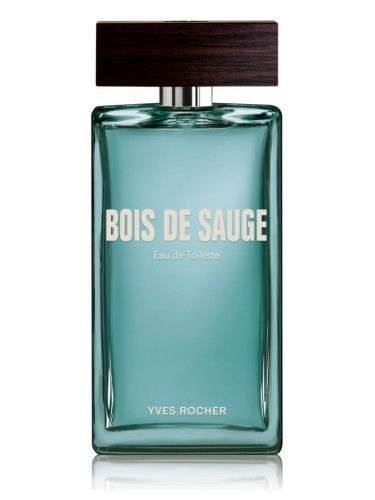عطر إيف روشيه بوا دي سوج