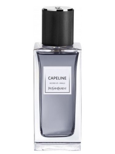 عطر إيف سان لوران كابلين